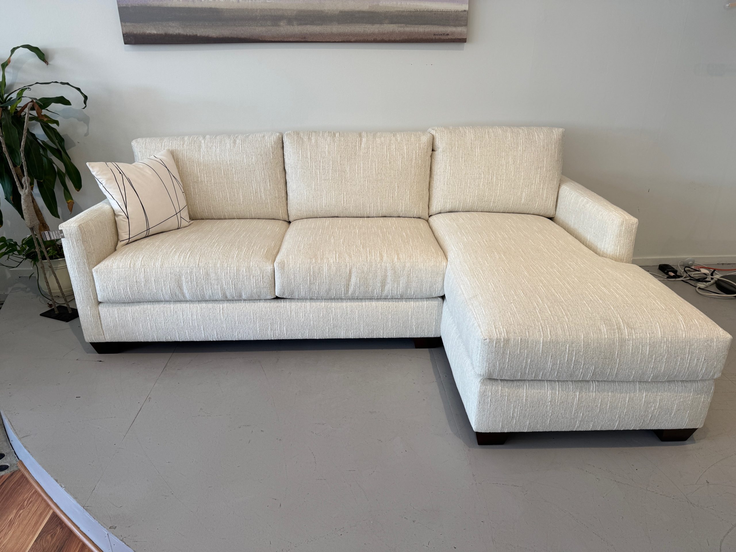 Francis Sectional  99 X 65"