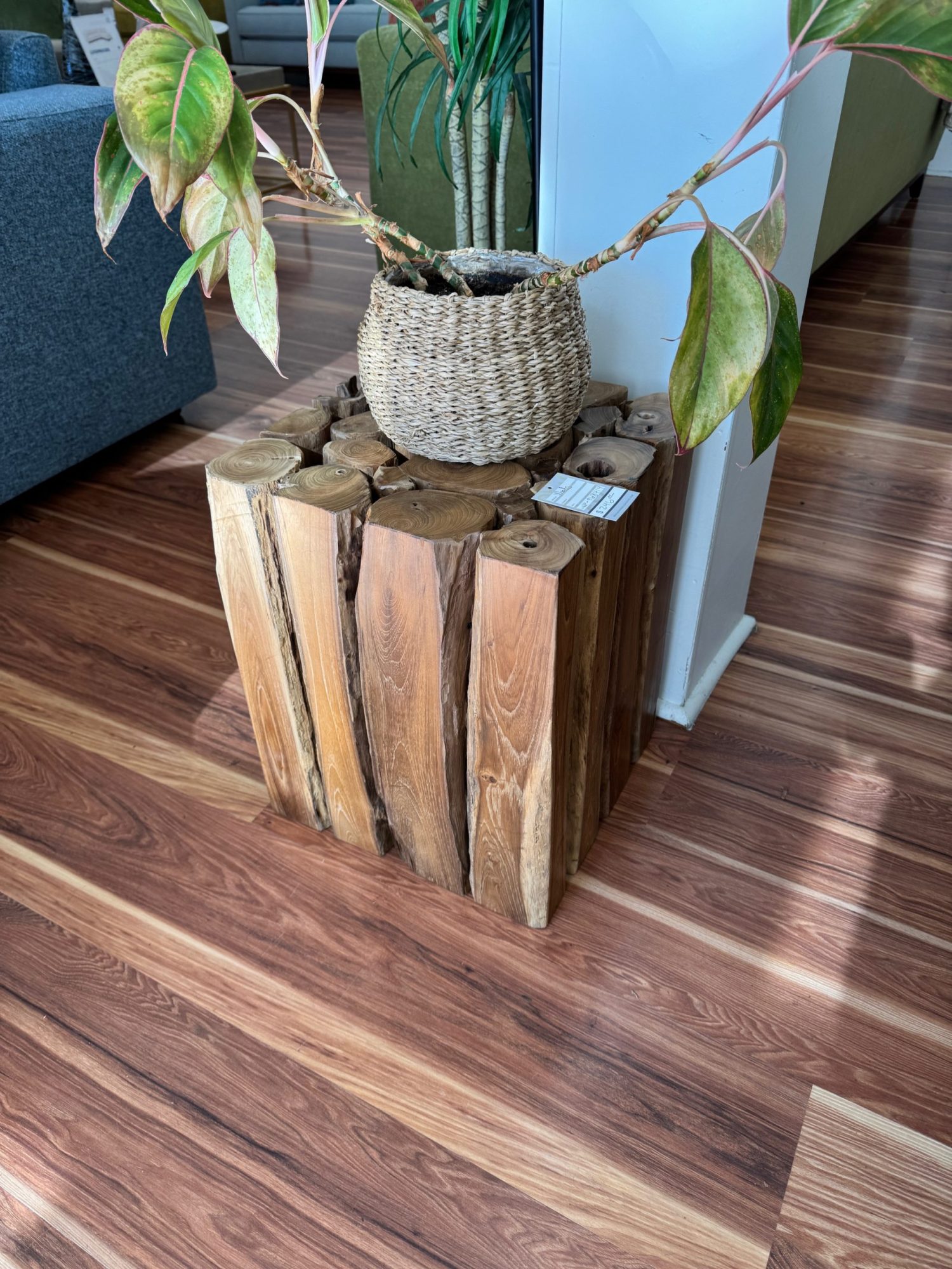 Woody branches side table
